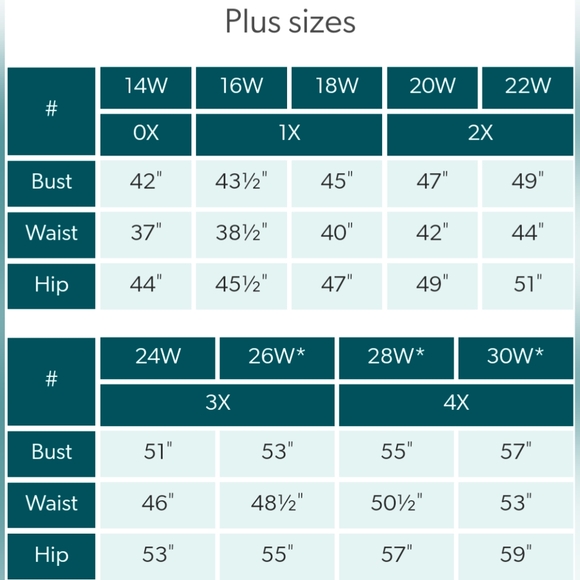 3X Women's Harvest Market Oversized Fit Graphic Tee-NWT - Picture 5 of 7